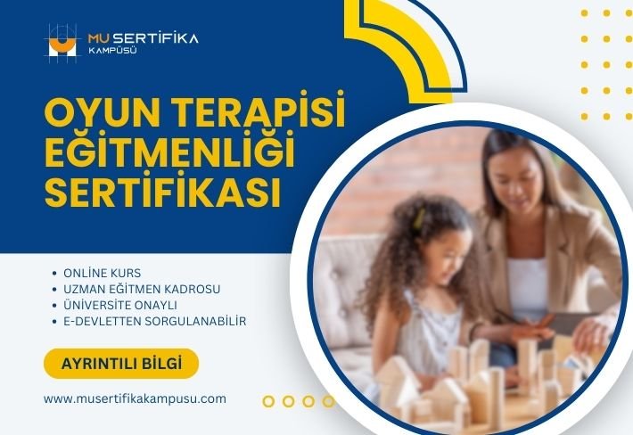 Oyun Terapisi Eğitmenliği Eğitimi Sertifika Programı